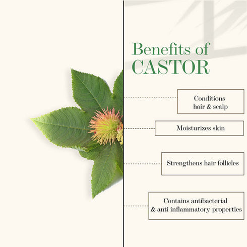 Good Vibes Castor 100% Pure Cold Pressed Oil For Hair & Skin